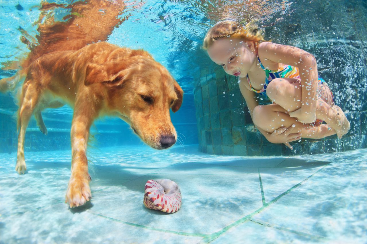 kid with dog in the water